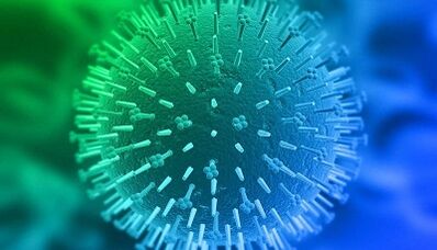 rutas de infección del virus del papiloma humano