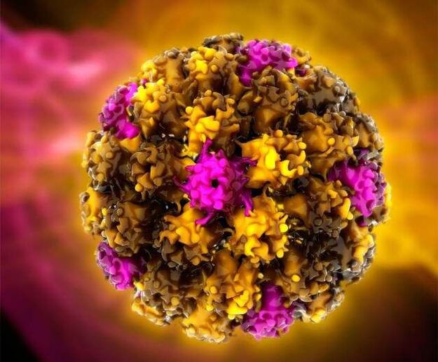 Virus del papiloma humano